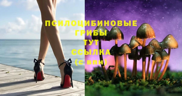 ешки Алексеевка