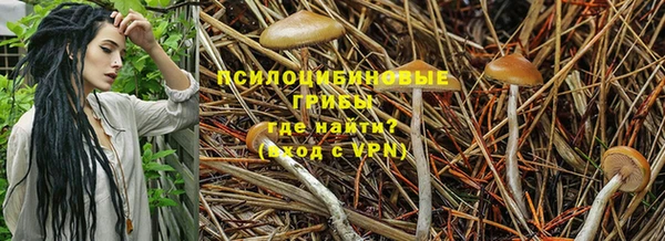 ешки Алексеевка