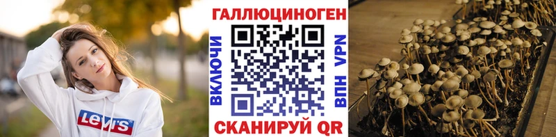 Псилоцибиновые грибы MAGIC MUSHROOMS  хочу   мега зеркало  Дмитриев 
