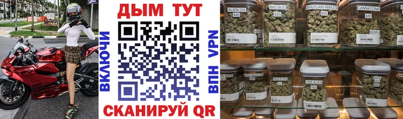 Каннабис Amnesia  Дмитриев 